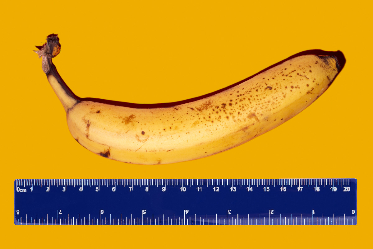 pene se encoge al envejecer