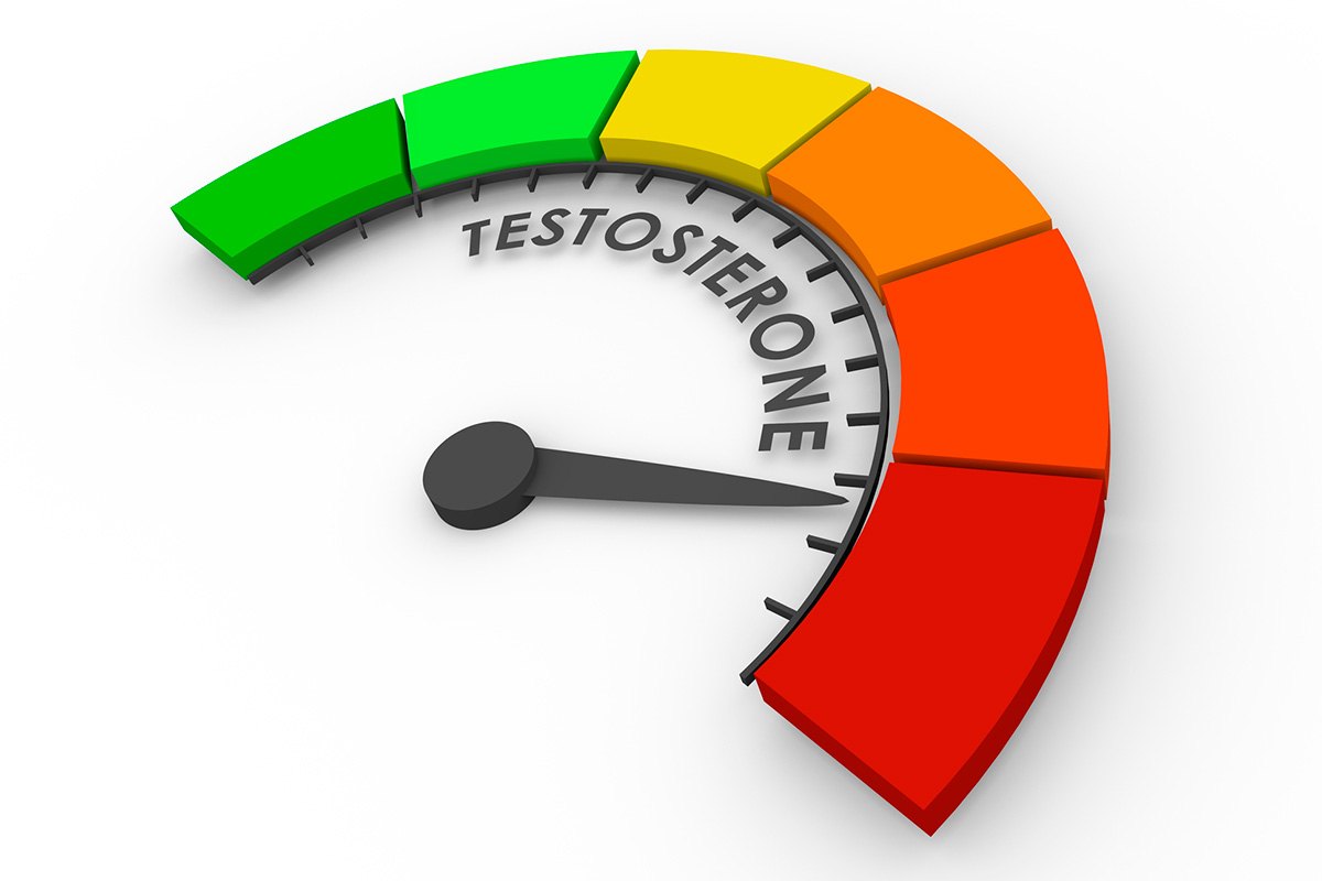 qué es la testosterona