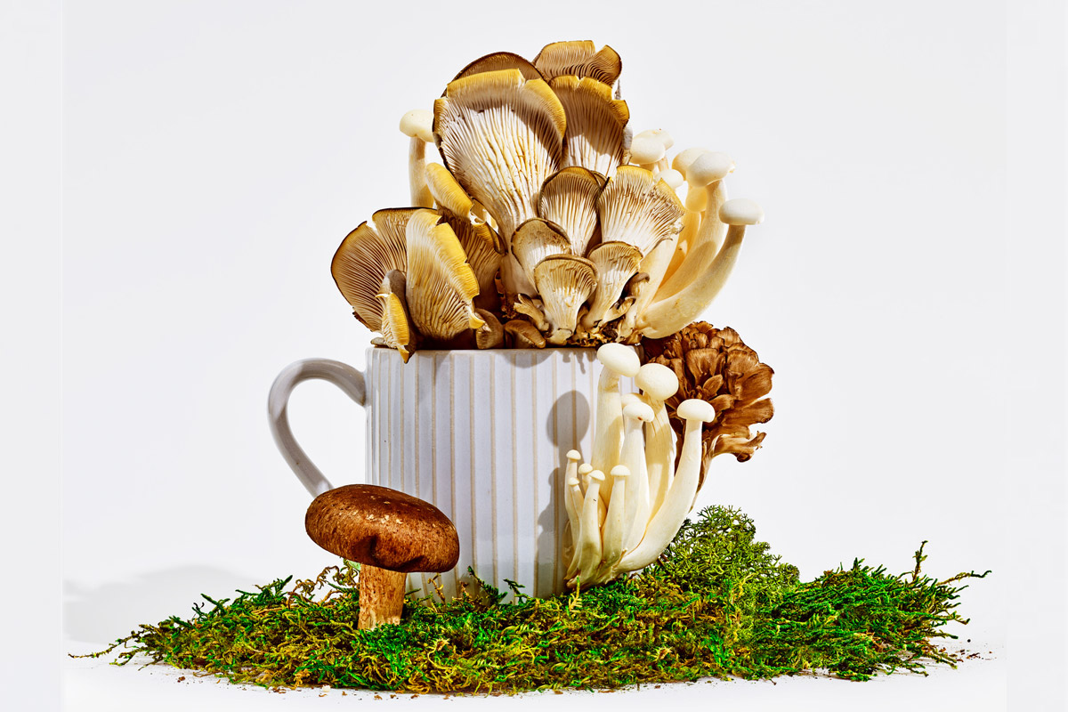 suplementos de hongos