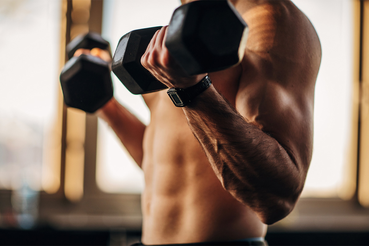 qué músculos entrenar el mismo día