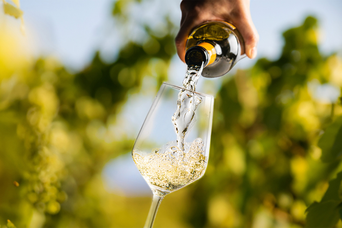 cómo tomar vino blanco