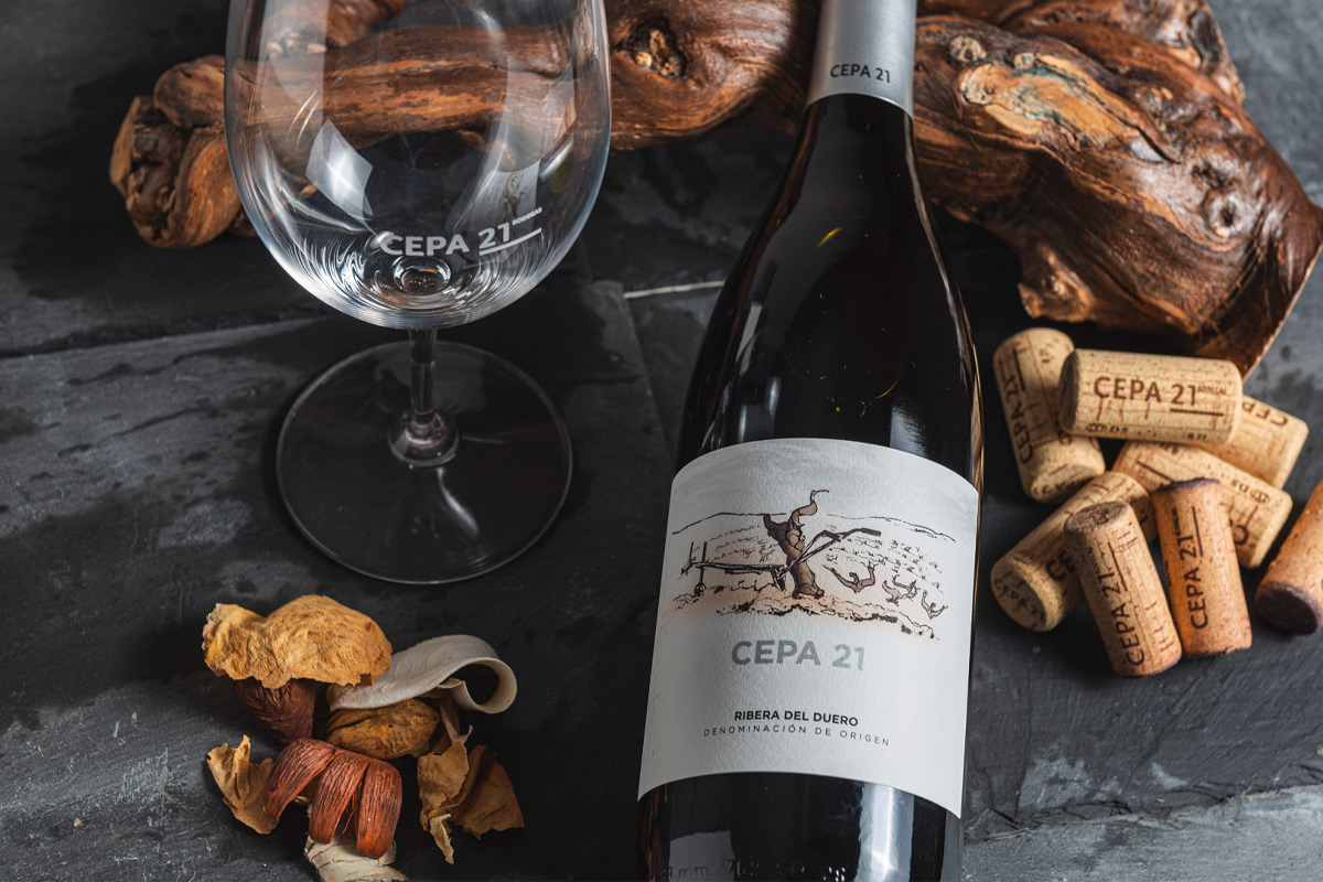 nueva imagen bodega cepa 21