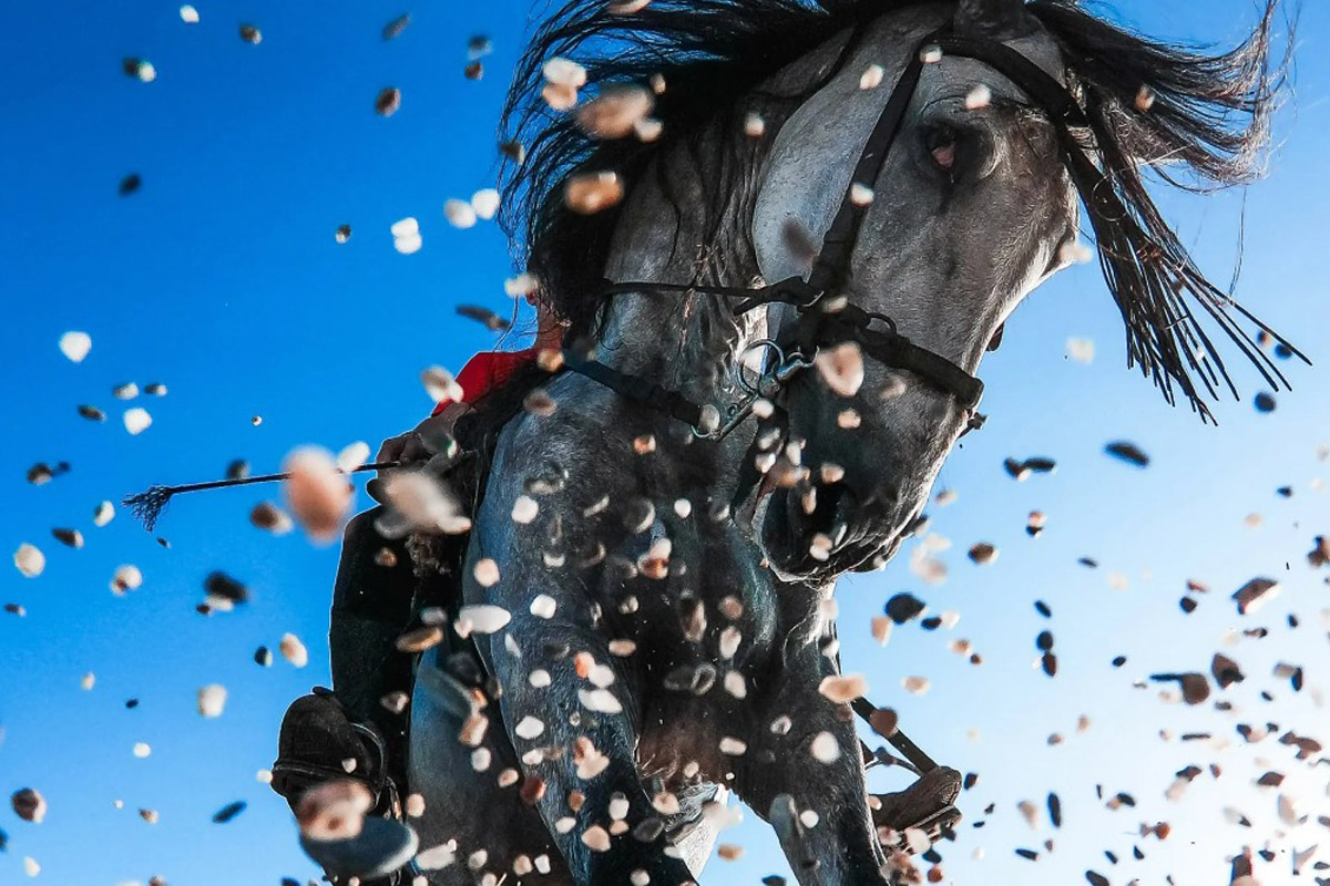 cómo participar en los gopro awards