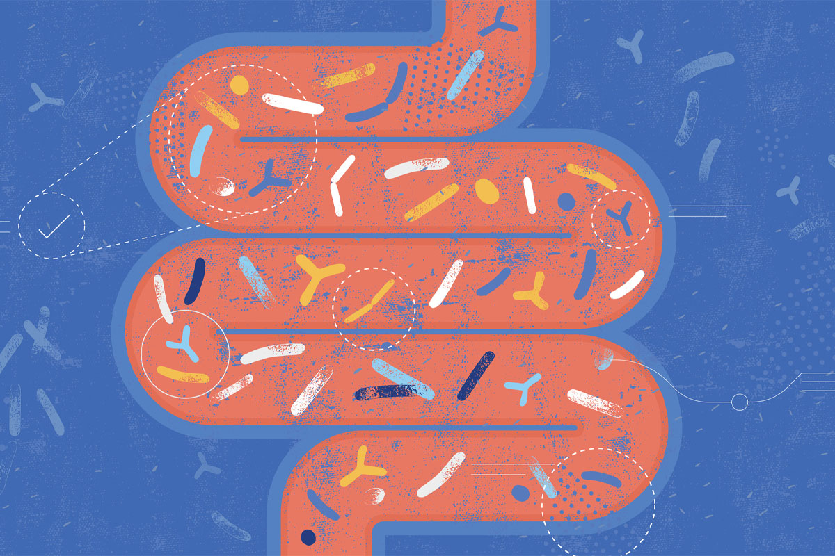 cómo mejorar la salud intestinal microbiota microbioma