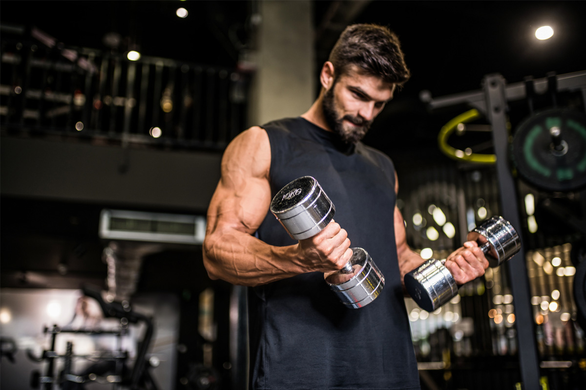 la nueva ciencia del músculo