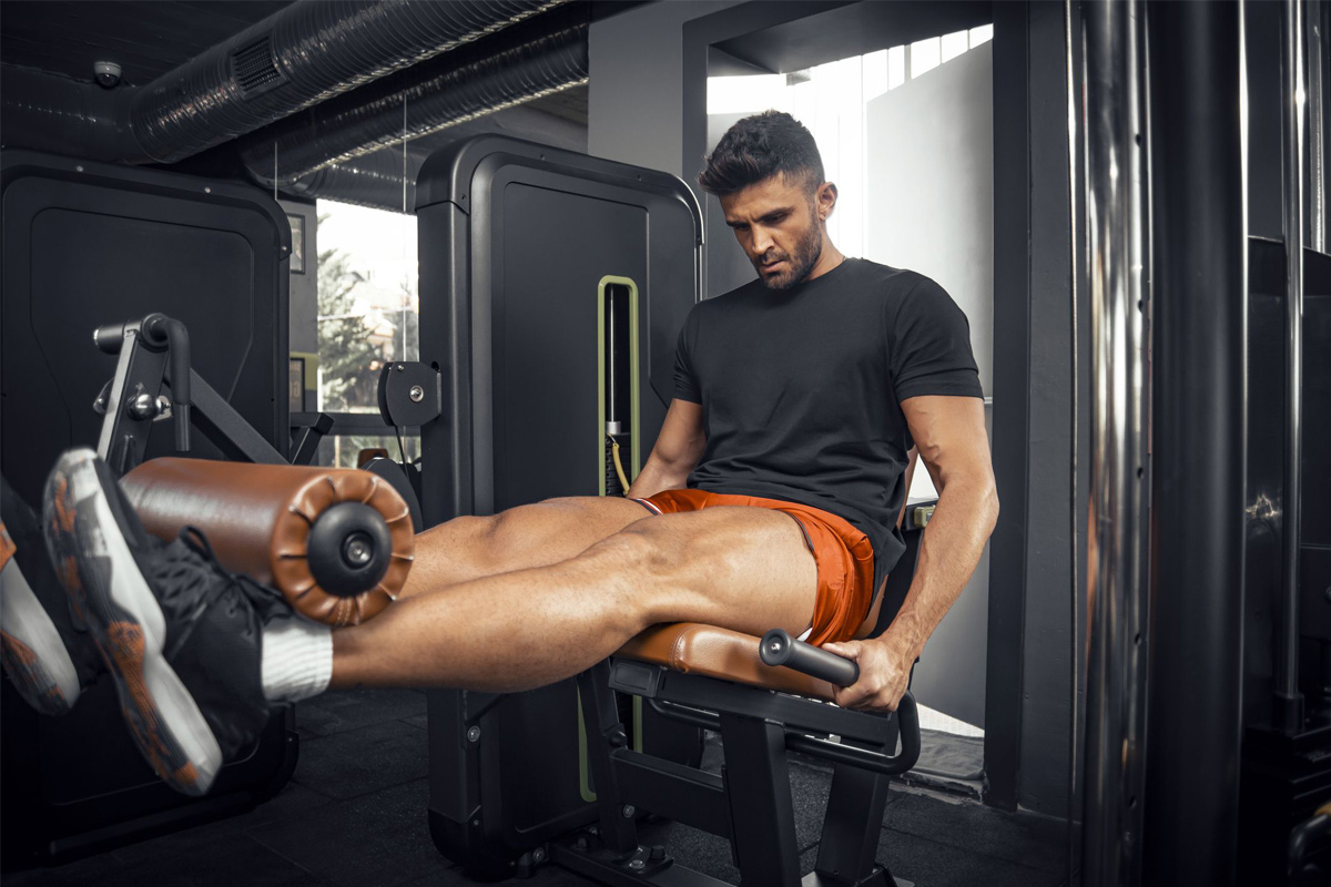 importancia del rango de movimiento en el entrenamiento