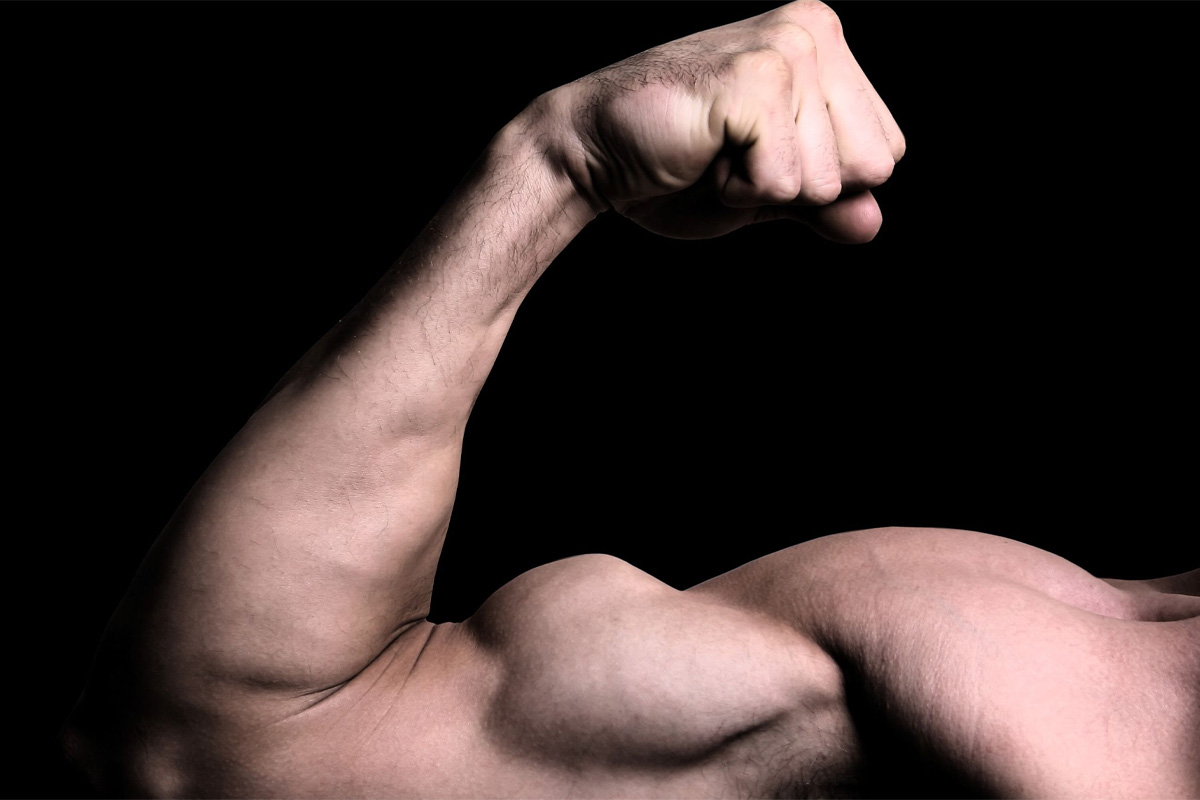 mejores suplementos para la construcción muscular