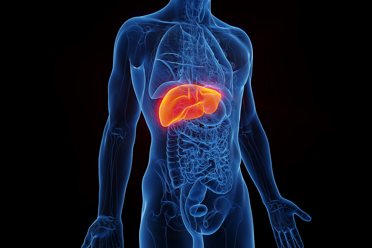 imagen del hígado de un hombre