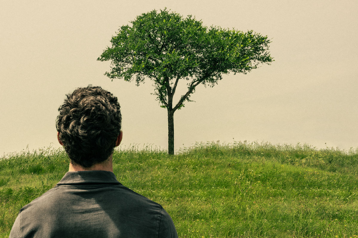 hombre viendo un árbol