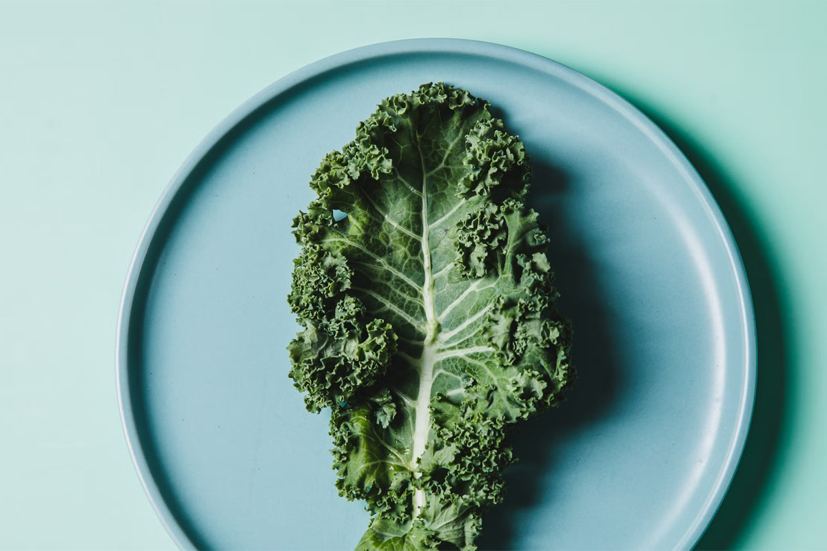 hoja de kale en plato