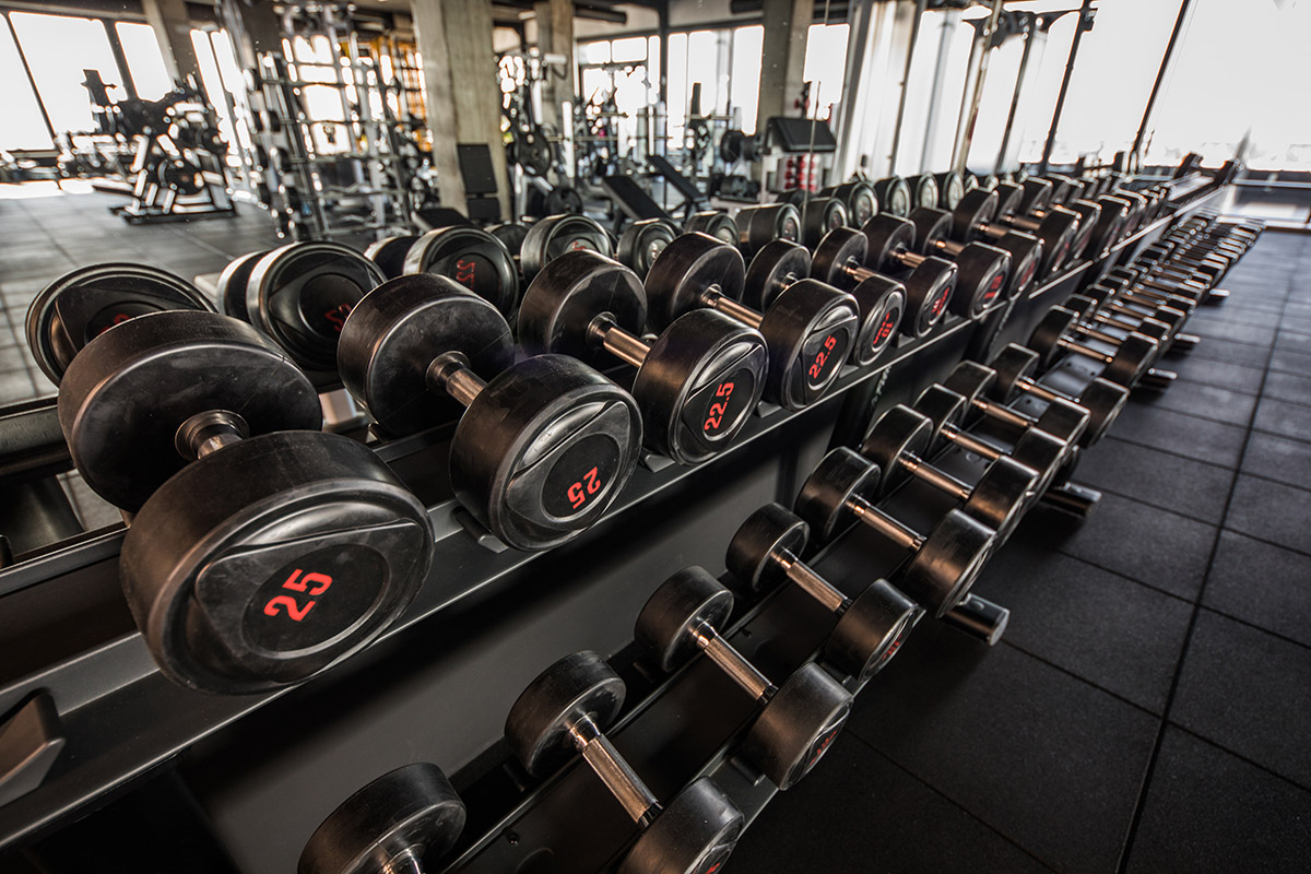 rack de mancuernas en un gimnasio