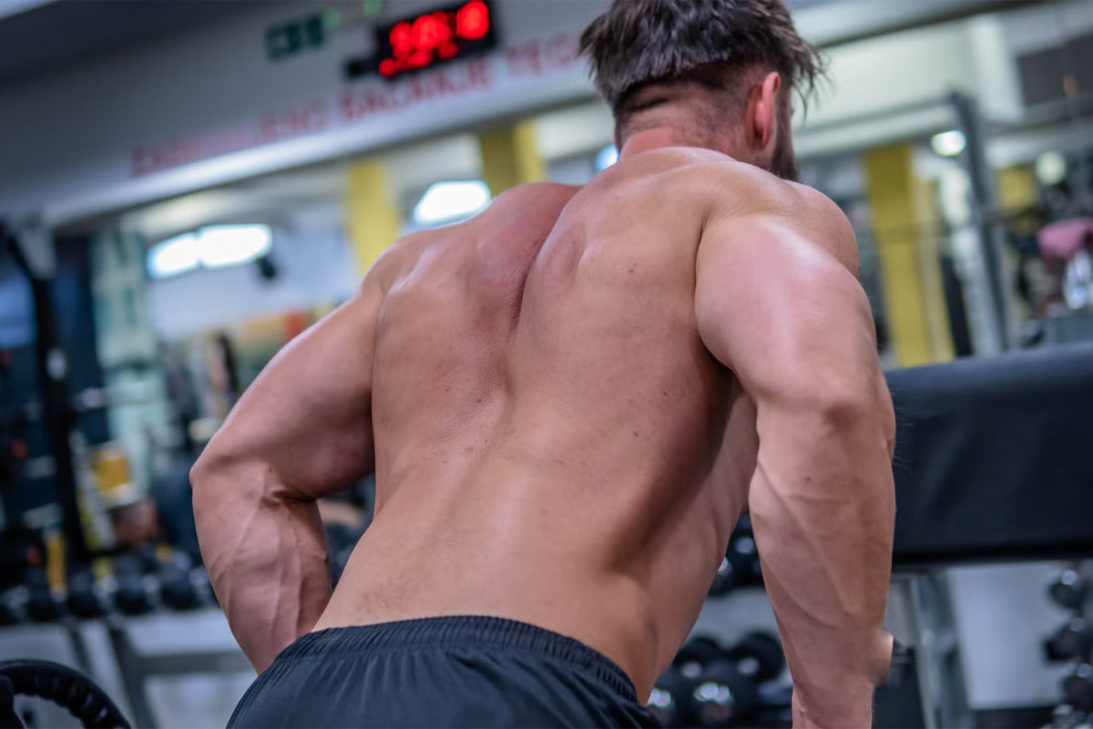 hombre sin playera haciendo pesas en el gimnasio